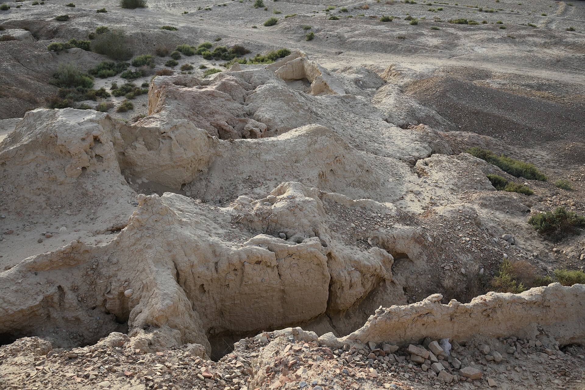 The broad excavation footprint at Mehrgarh, where burials revealed some of the earliest known dental work.