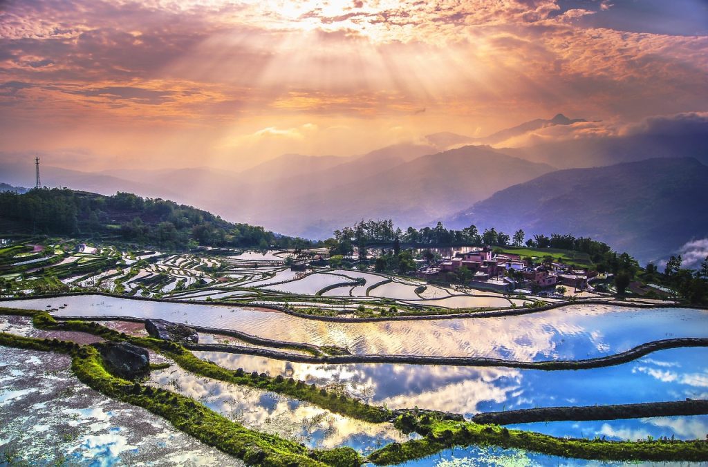 Terraced hillsides carved from the steep mountains of the Miao homeland.
