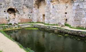The frigidarium of the Baths of Faustina at Miletus