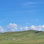 Open steppe grassland under a wide sky