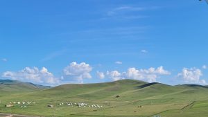 Open steppe grassland under a wide sky