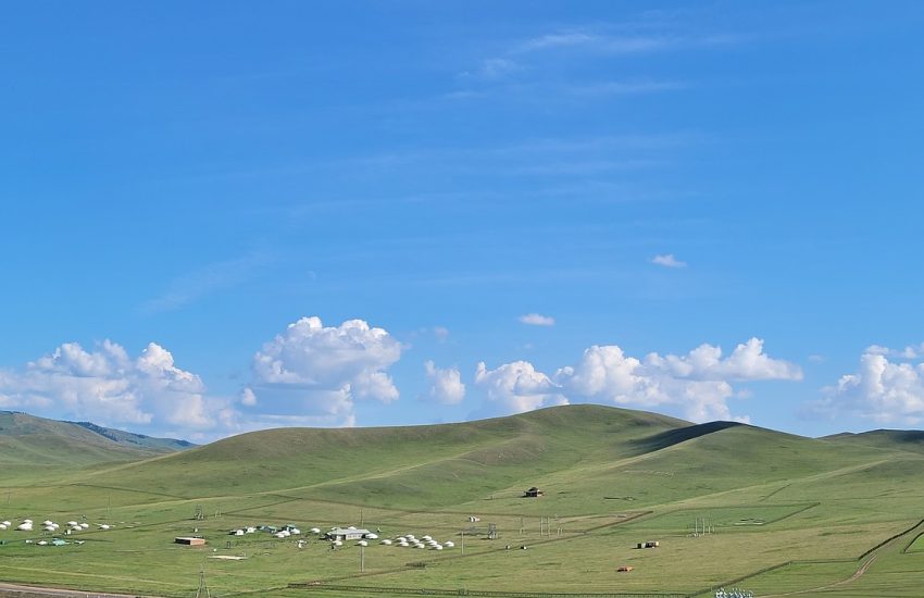 Open steppe grassland under a wide sky