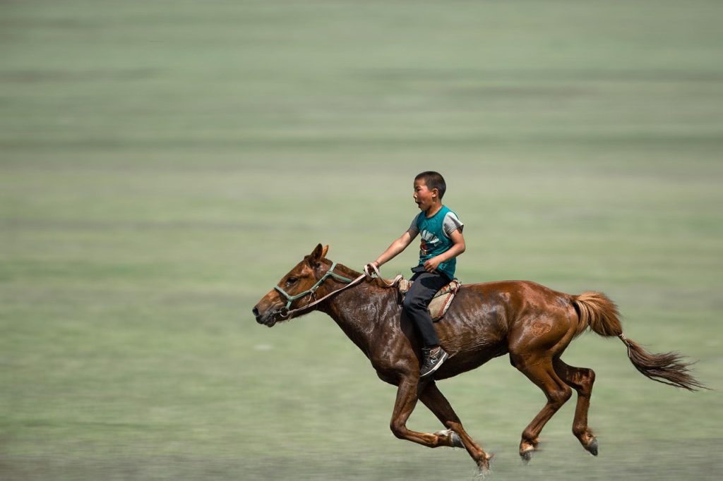 Life on the steppe is built around the herding family and its animals.