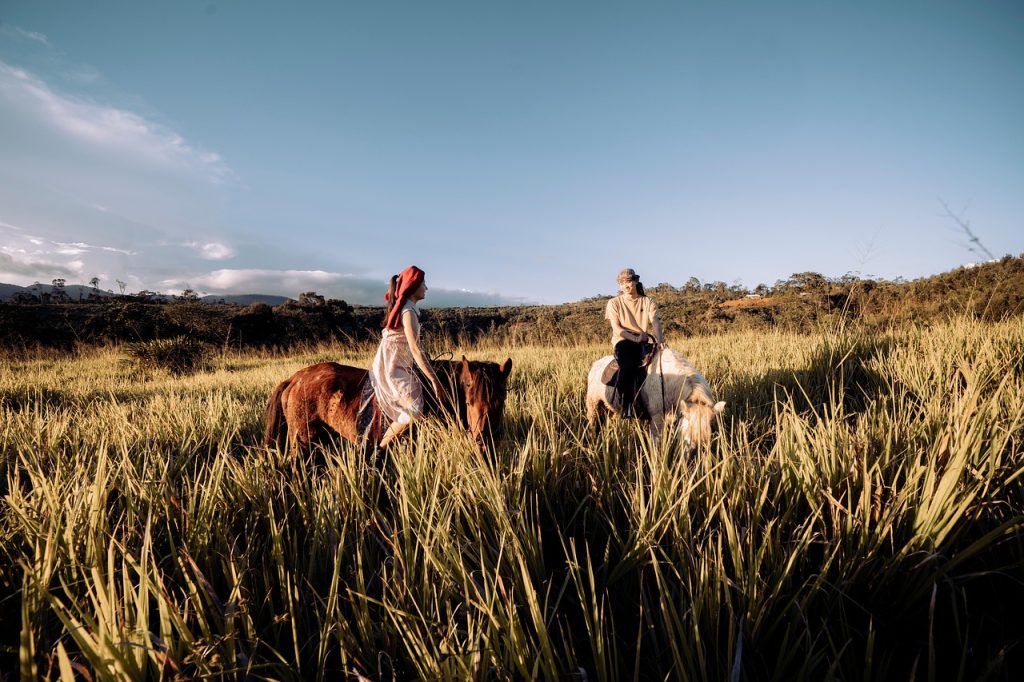 Horsemanship remains the deepest of all Mongol traditions.