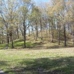 Mound A, the large bird-shaped earthen mound at Poverty Point, Louisiana