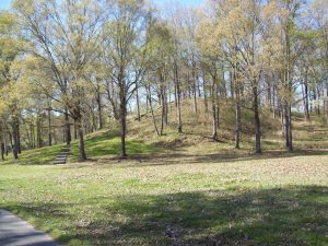 Mound A, the large bird-shaped earthen mound at Poverty Point, Louisiana