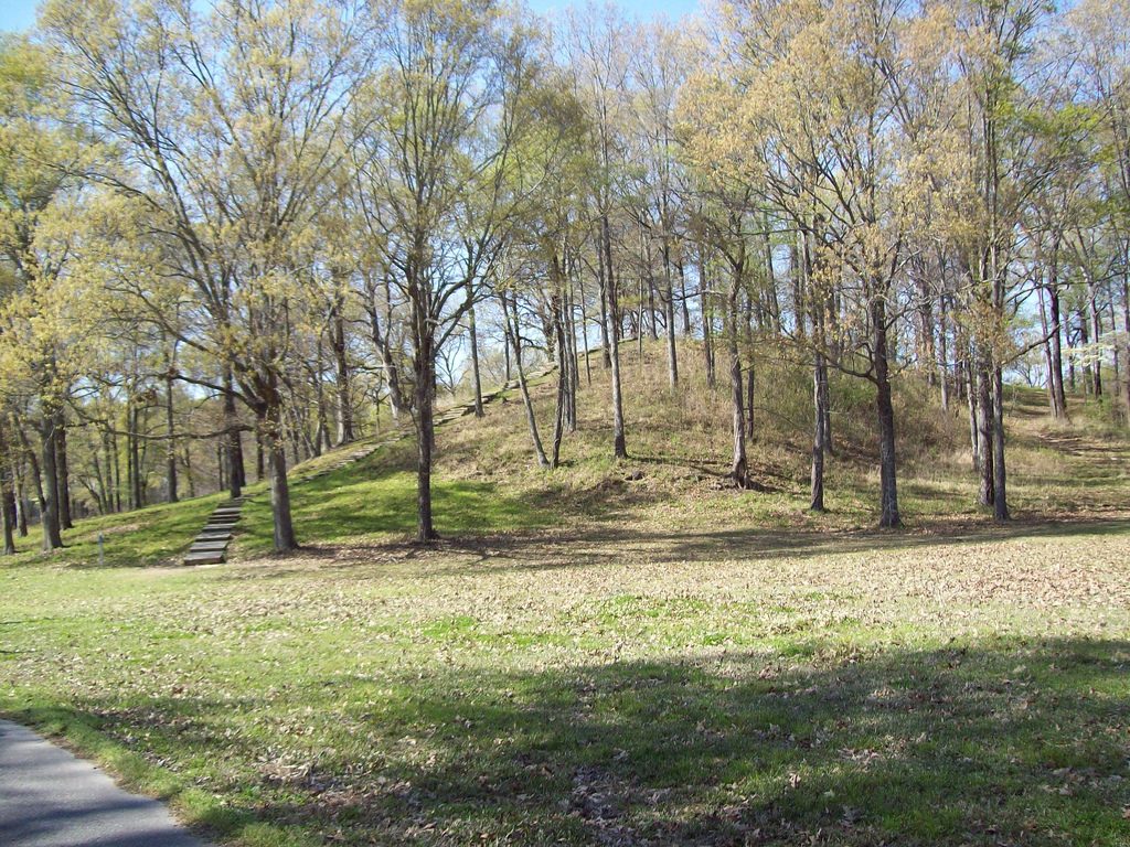 Mound A, the large bird-shaped earthen mound at Poverty Point, Louisiana