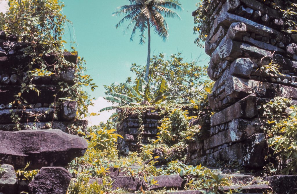 Nan Madol basalt walls rising above tropical vegetation