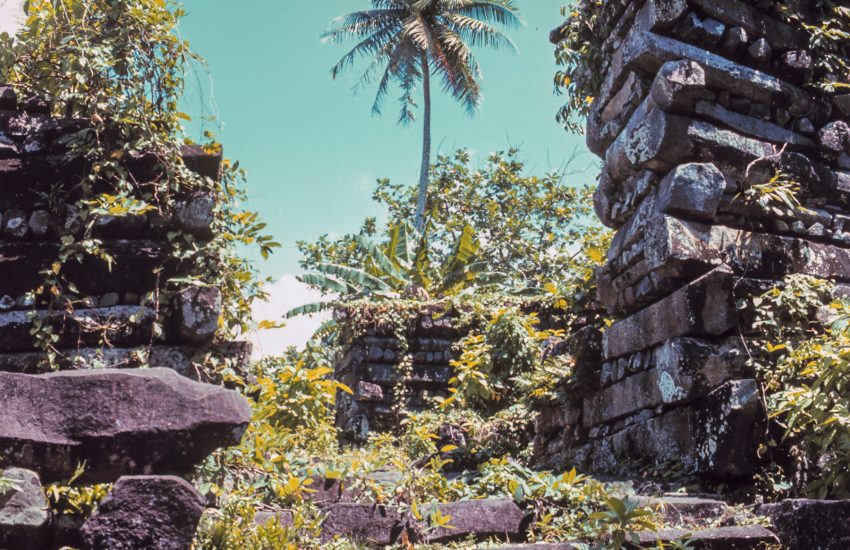 Nan Madol basalt walls rising above tropical vegetation