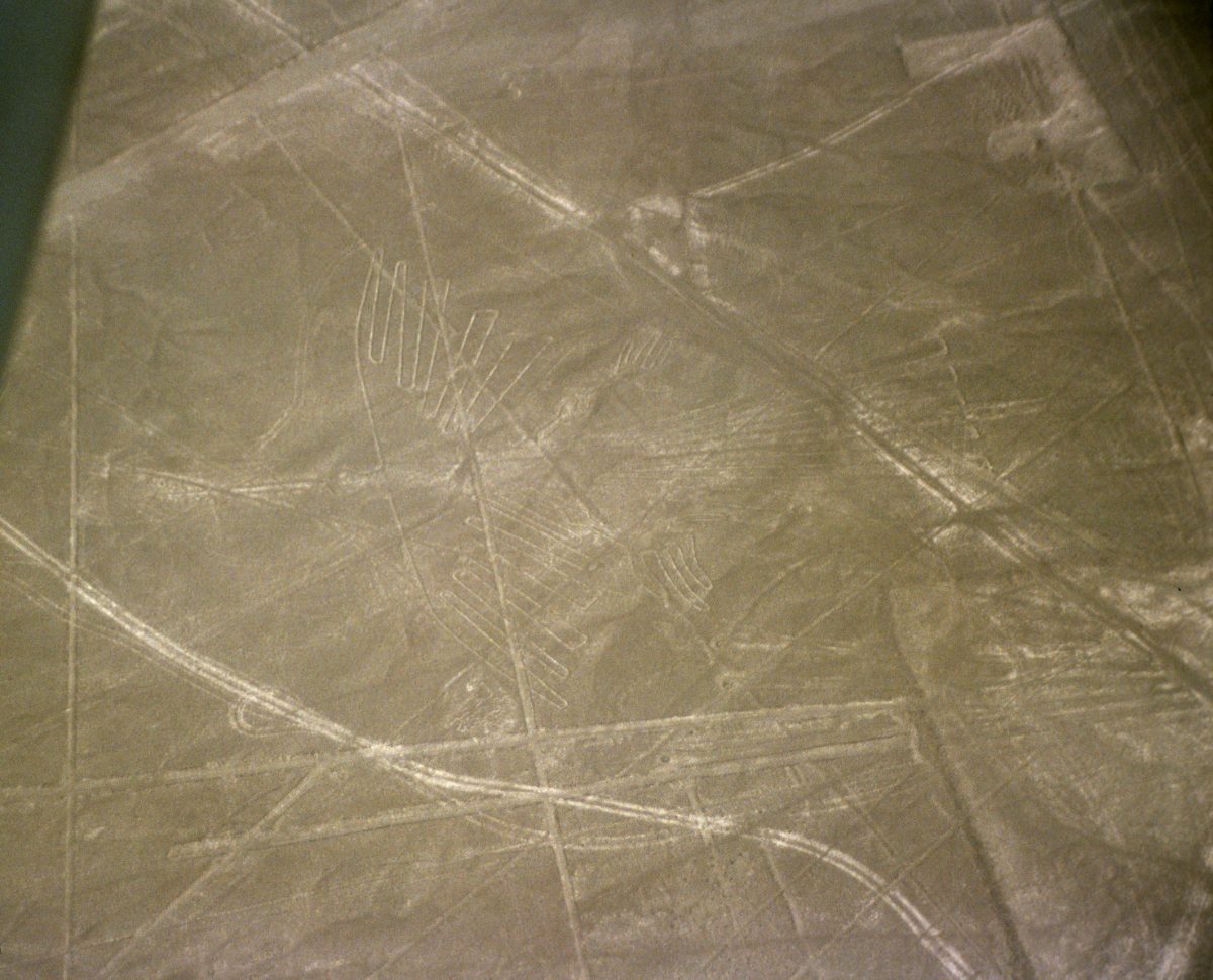 The condor geoglyph, one of the large bird figures among the Nazca Lines