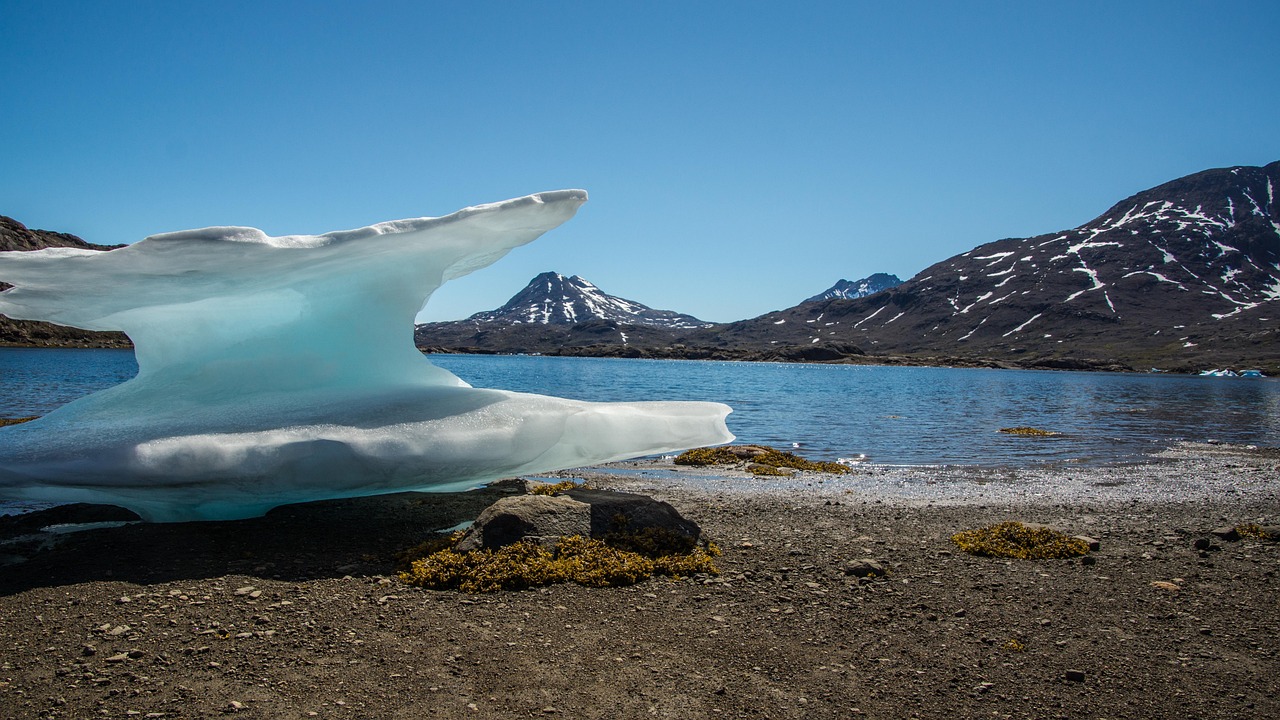 The frozen world of the Nenets north