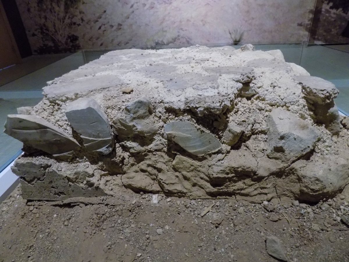 Detail of the polished terrazzo floor uncovered at Nevali Cori
