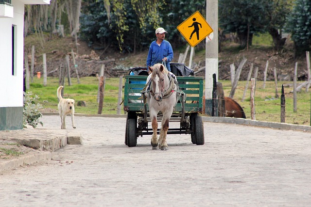 A farmer in rural Colombia; agriculture has anchored highland life in this region for millennia