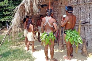 Indigenous Amazonian people in the rainforest