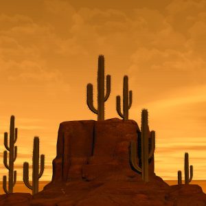 Desert rock formations in the American Southwest