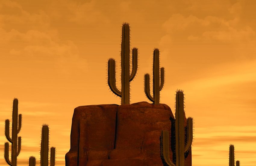 Desert rock formations in the American Southwest