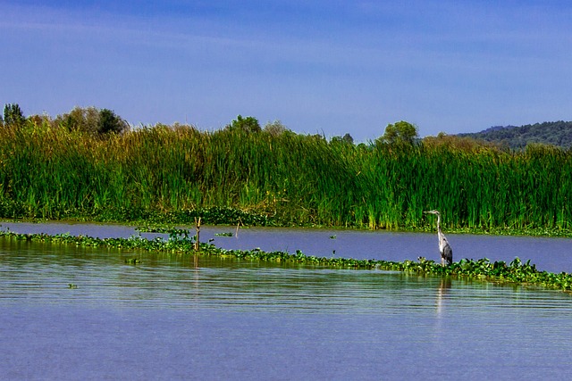 A lake in Michoacán's highlands, the kind of setting in which Purépecha civilization first took shape
