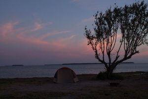 The Florida Everglades, the vast wetland wilderness that sheltered Seminole ancestors as they formed a new nation from multiple Southeastern peoples during the eighteenth century.