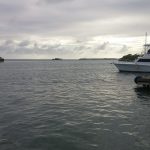 Puerto Rico landscape
