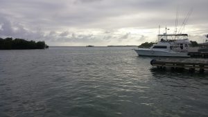 Puerto Rico landscape