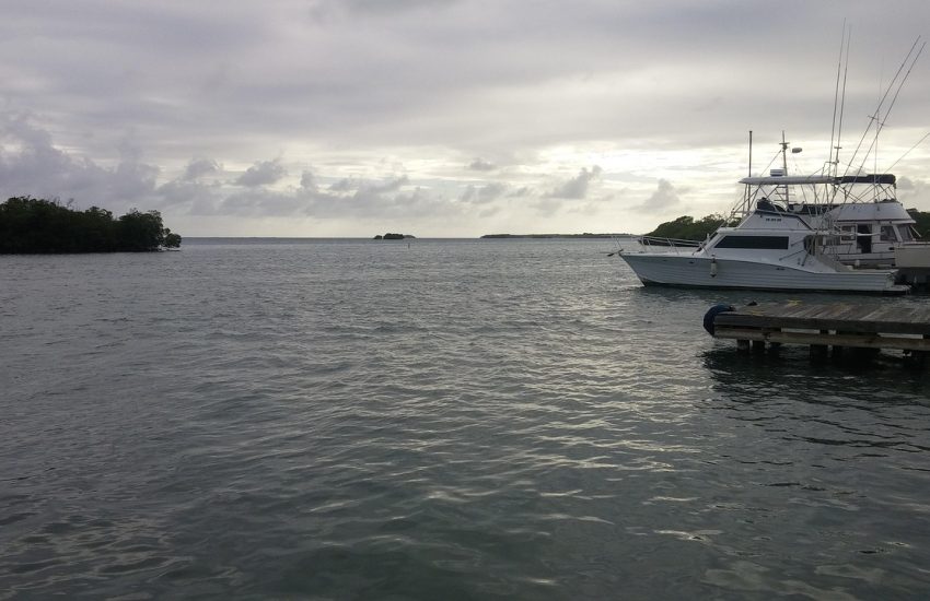 Puerto Rico landscape