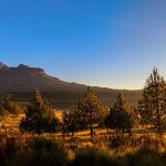 Pine-forested mountain landscape in northern Mexico