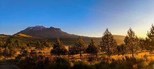 Pine-forested mountain landscape in northern Mexico