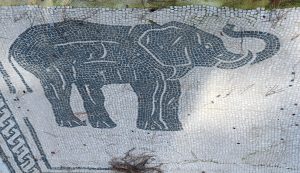 Elephant mosaic Ostia