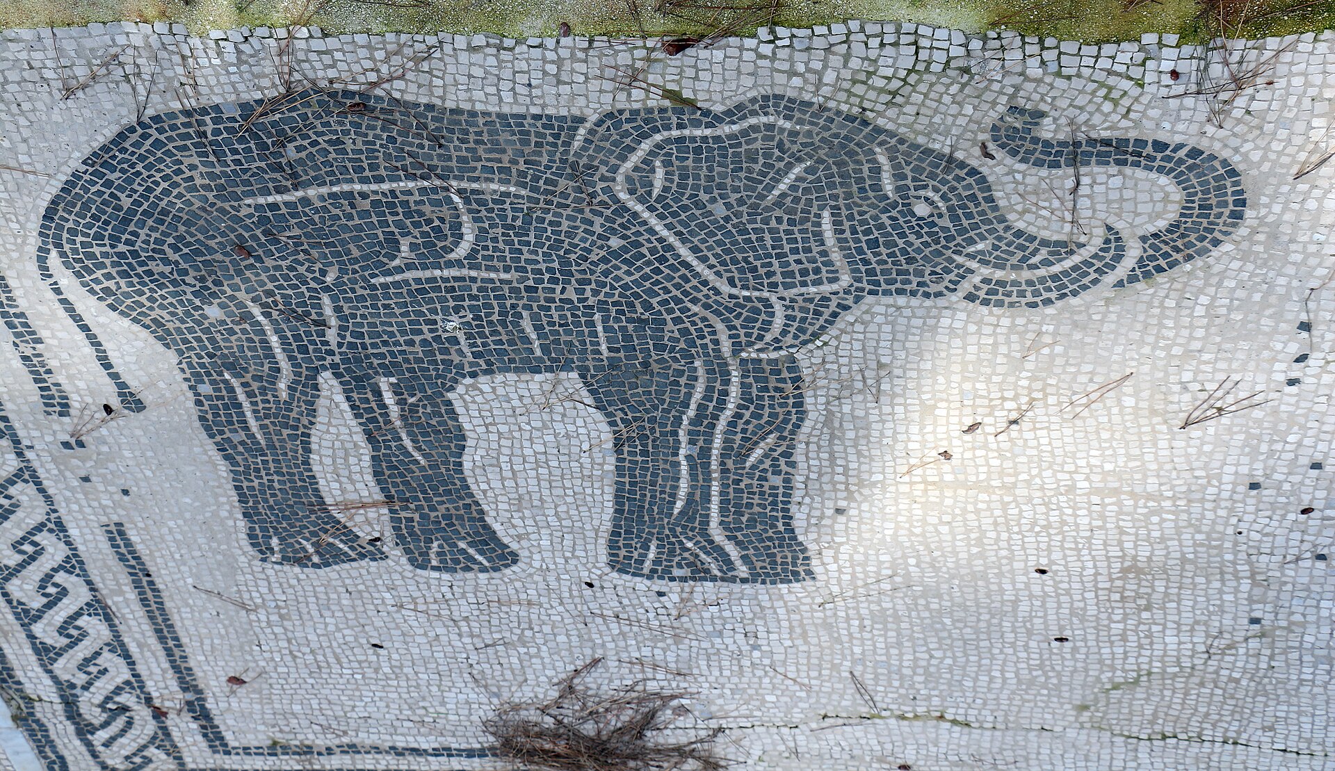 Elephant mosaic Ostia