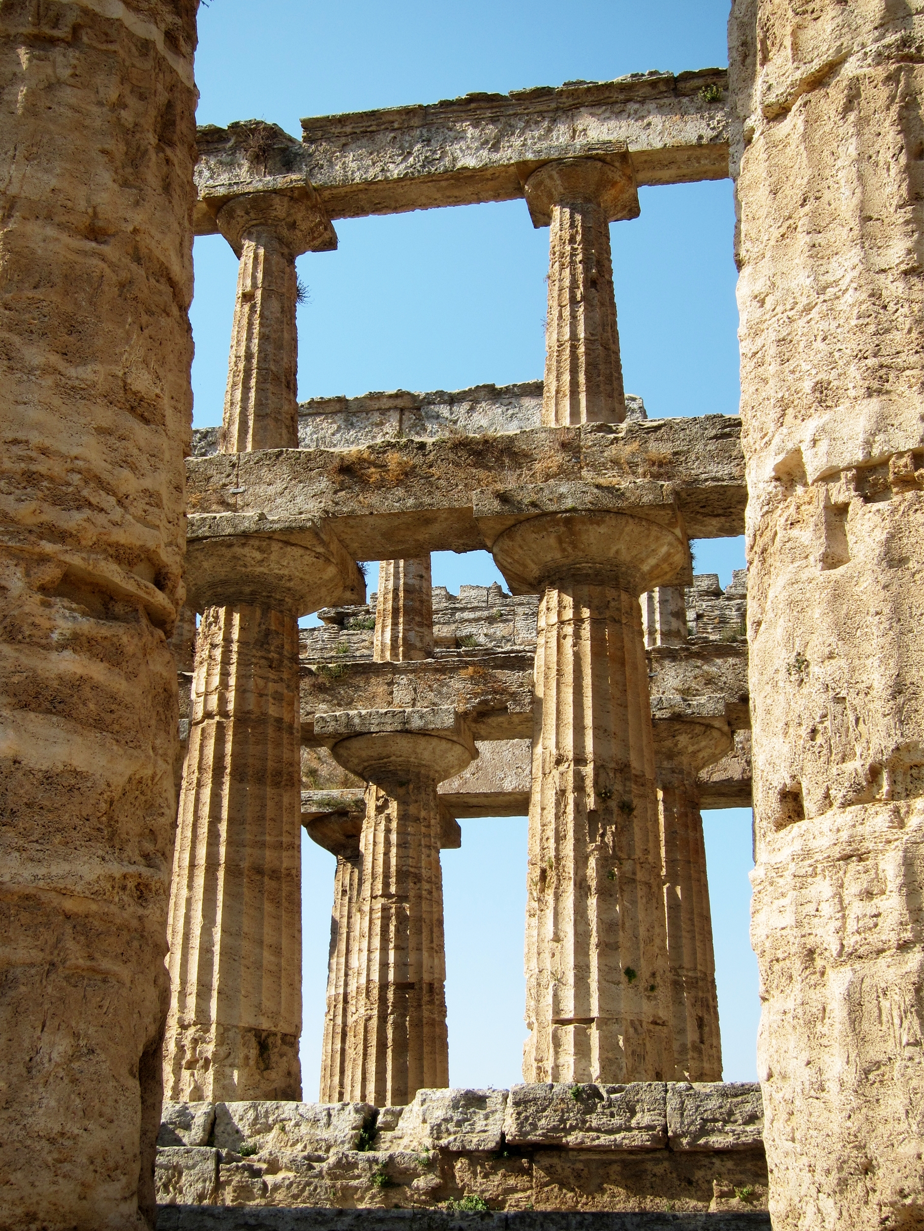 Temple of Neptune columns