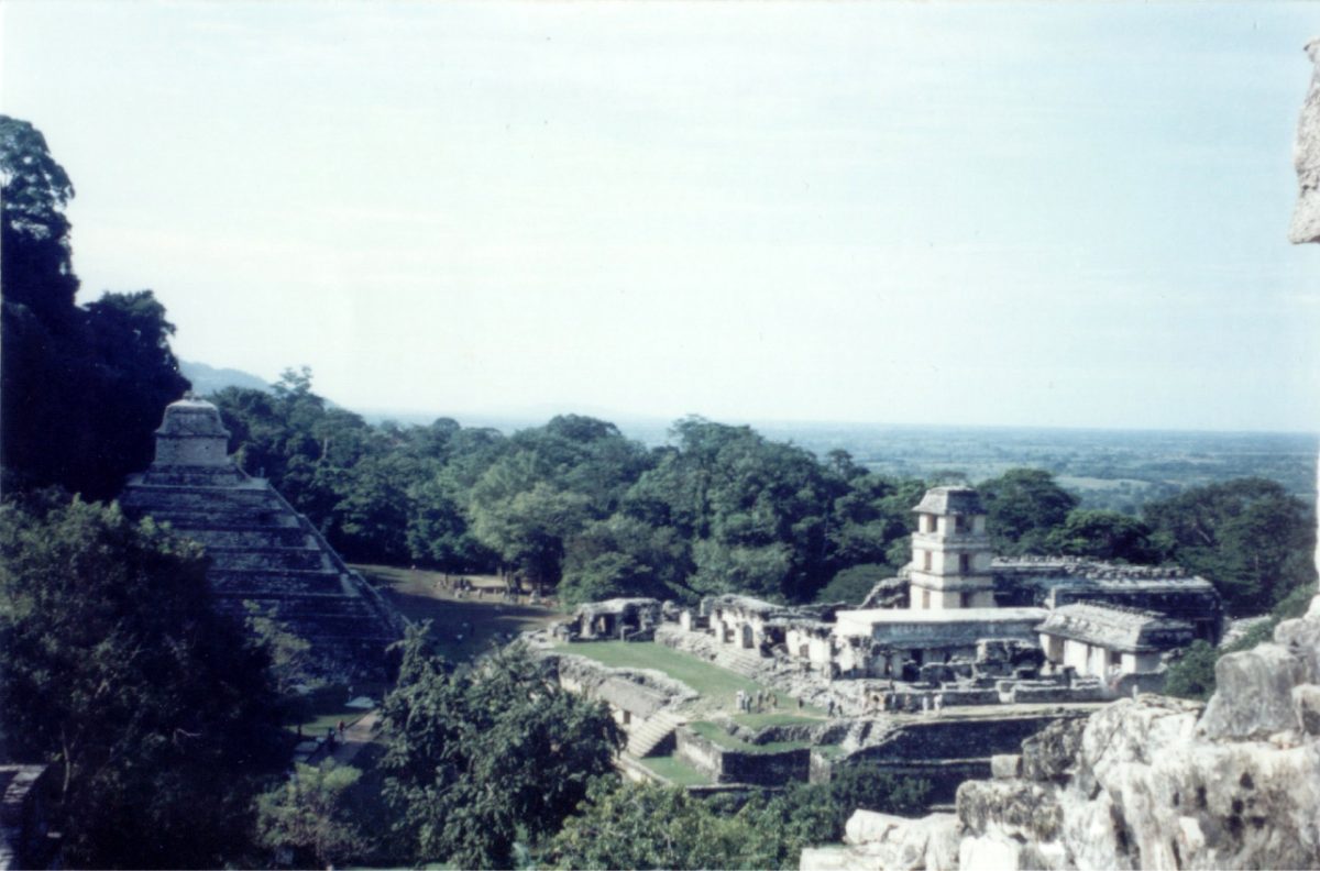 View of Palenque from the Temple of the Cross