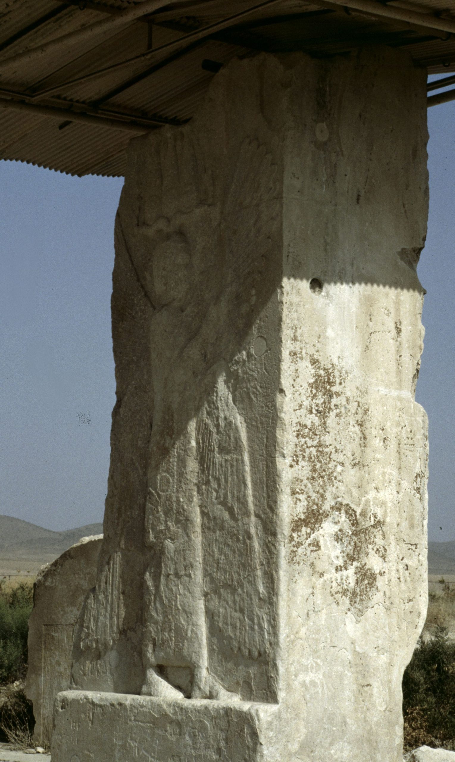 A carved relief near a gateway at Pasargadae