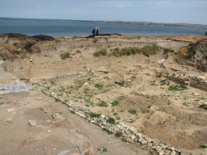 Phanagoria excavations (2008).JPG