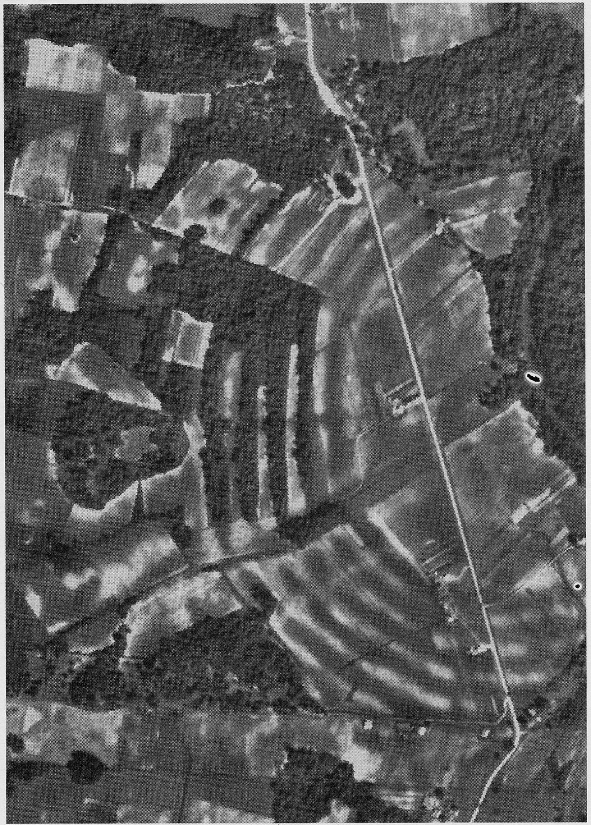 1938 aerial survey photograph showing the earthworks of Poverty Point