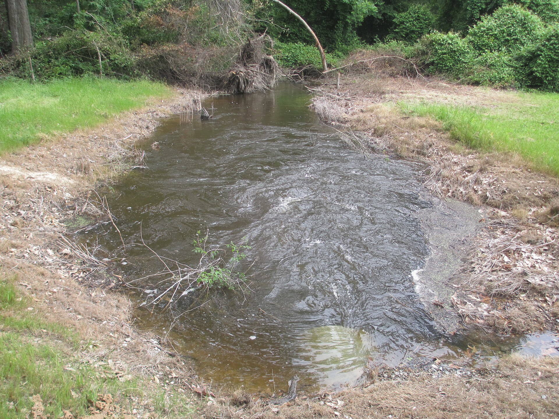A borrow pit at Poverty Point, one of the places where earth was dug and carried away to build the mounds.
