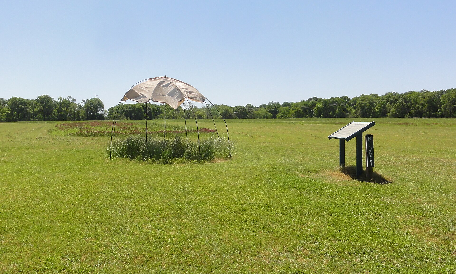 A reconstructed hut on one of the ridges, showing how people lived along the great earthen arcs.