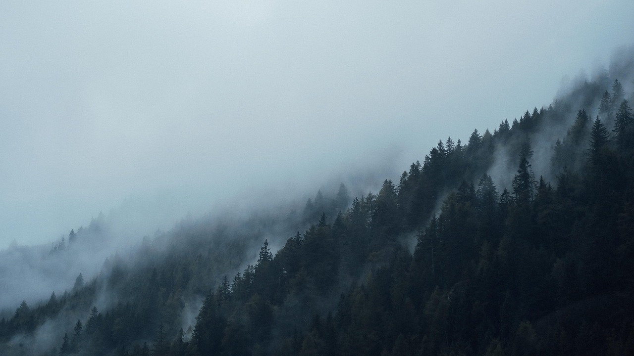 Pine-covered mountains of the Q'anjob'al highlands