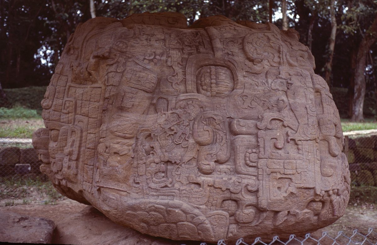 Detail of intricate stone carving on a zoomorph monument at Quirigua