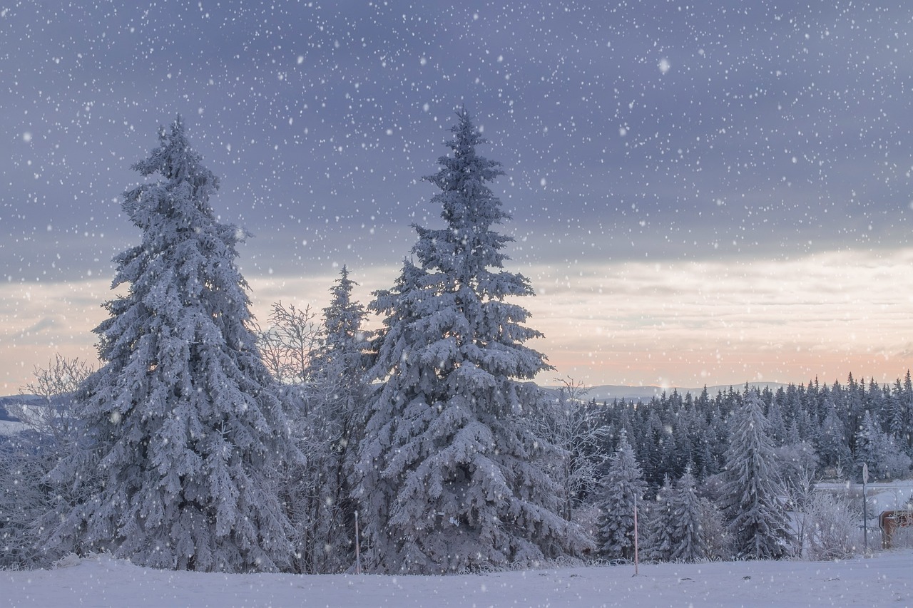 The frozen world in which Sakha society took shape
