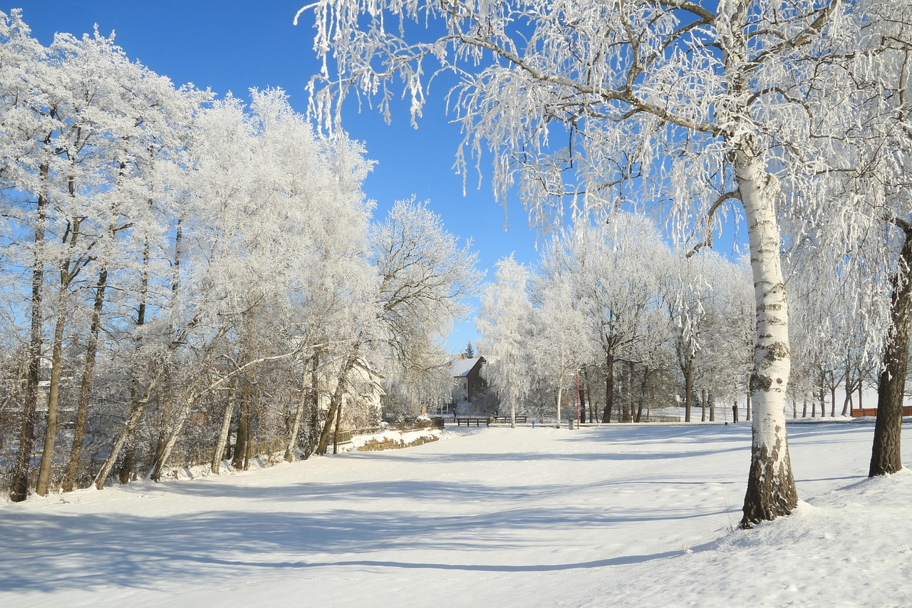 The extreme winter of the Sakha homeland