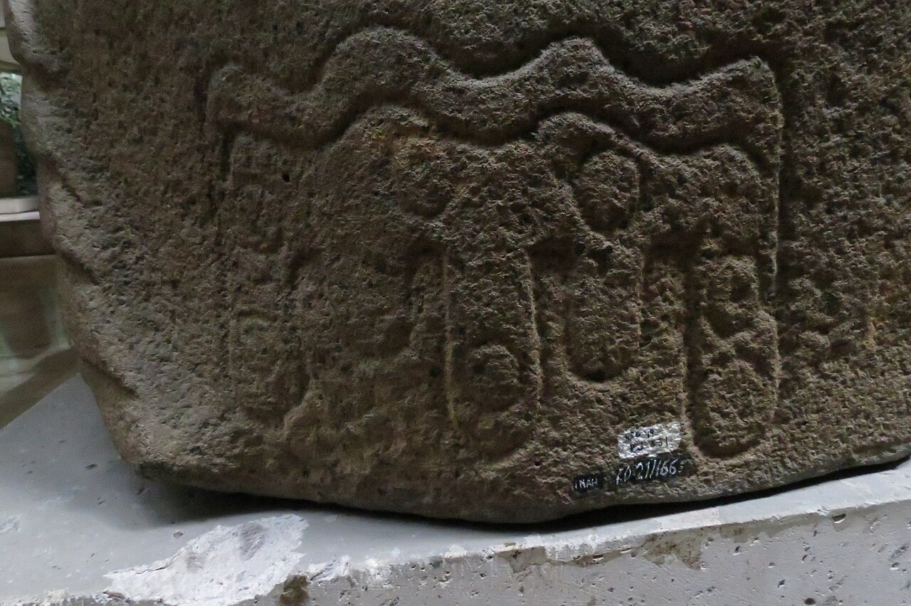 This bird sculpture from San Lorenzo Tenochtitlán presents manned elements used by the Olmecs as a symbol of power. This