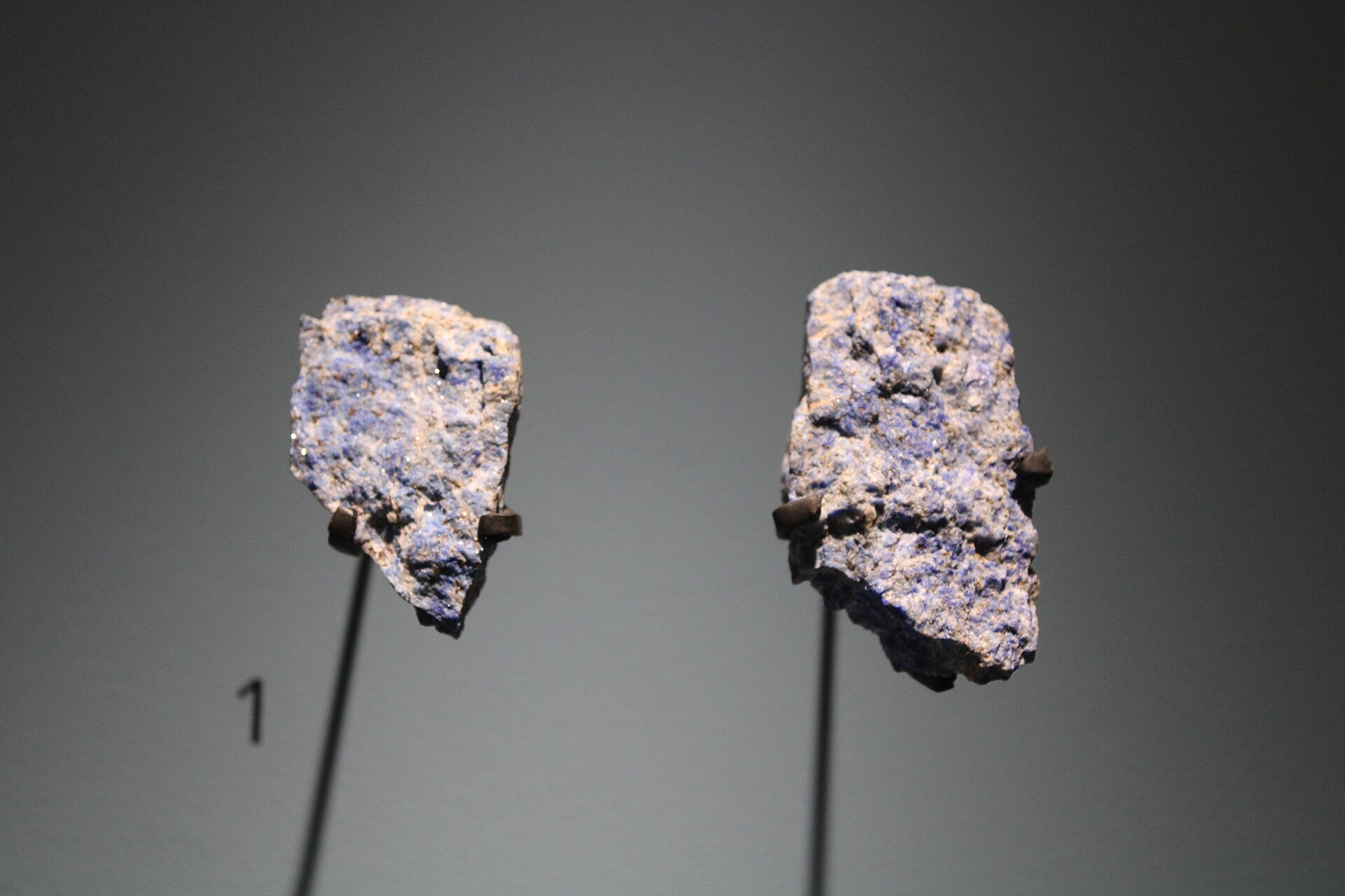 Fragments of lapis lazuli recovered at Sarazm, raw material for the ornament trade.