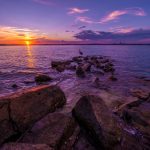 free beach gulf coast photo and picture