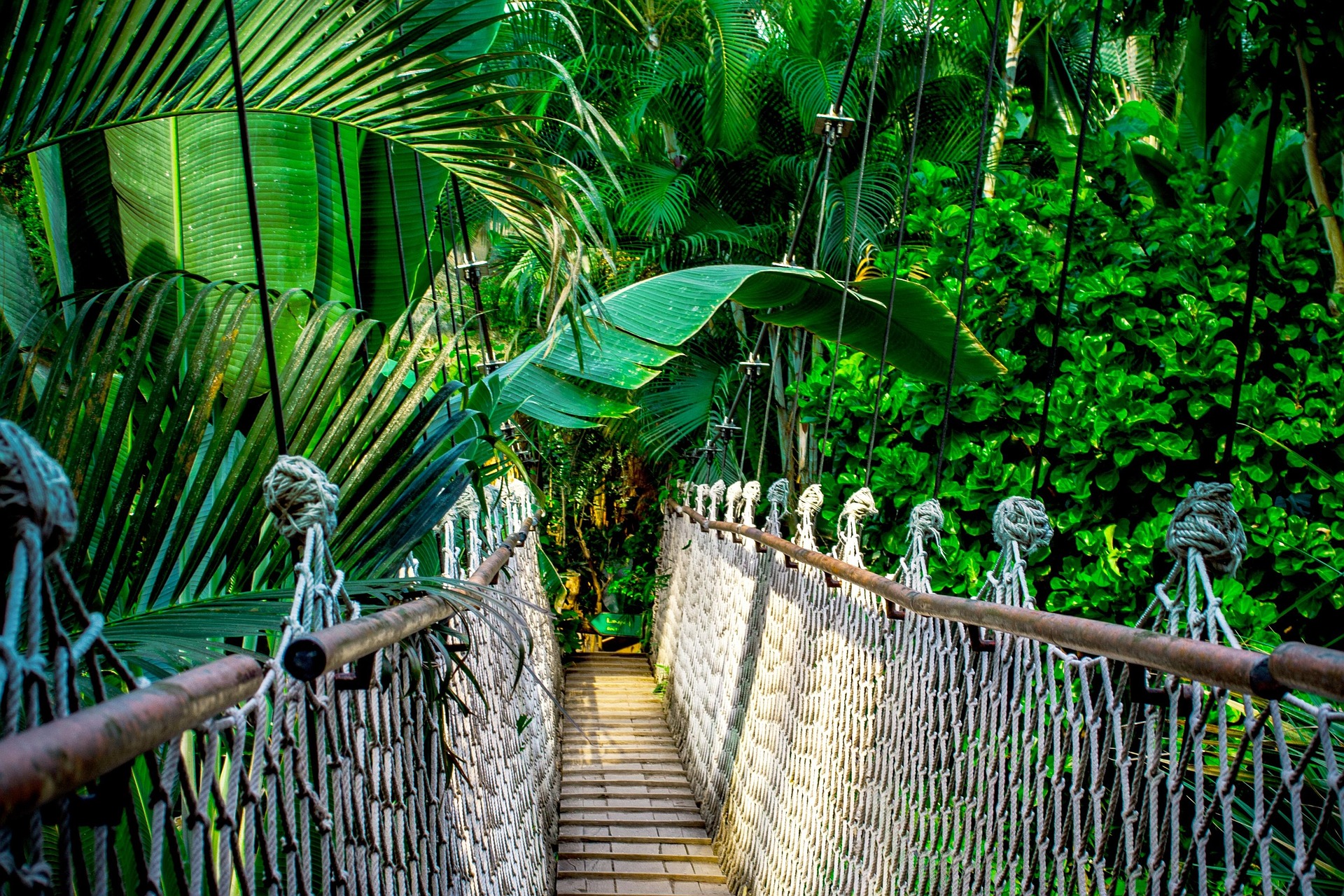 New roads and bridges are reshaping how Shuar communities connect to the wider world