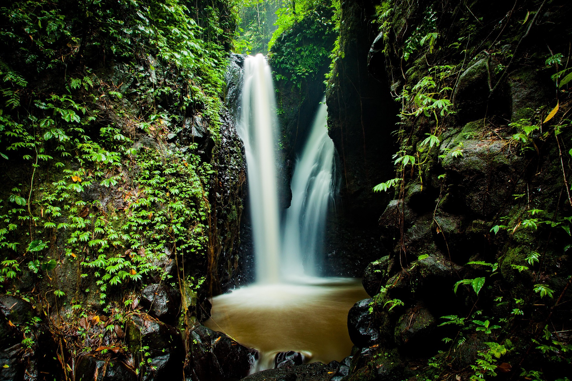 Young Shuar have traditionally sought visions and strength at forest waterfalls like this one