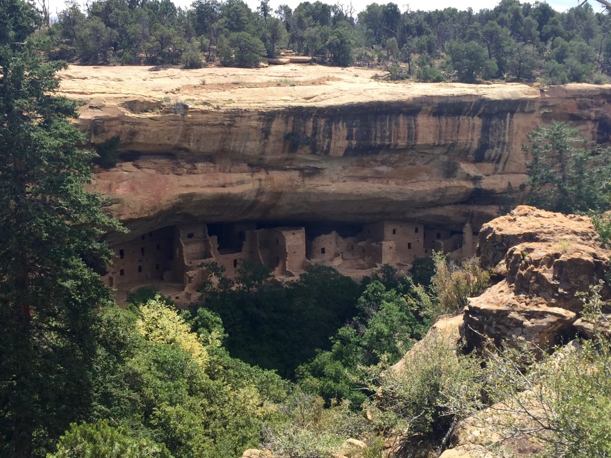 Spruce Tree House cliff dwelling viewed from Spruce Tree Point