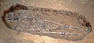 Man in an Upper Paleolithic burial in Sunghir, Russia. The site is approximately 28,000 to 30,000 years old