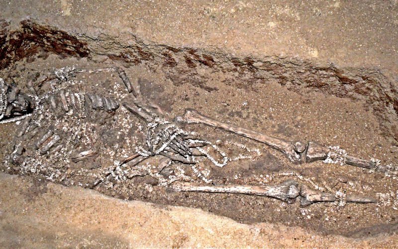 Man in an Upper Paleolithic burial in Sunghir, Russia. The site is approximately 28,000 to 30,000 years old