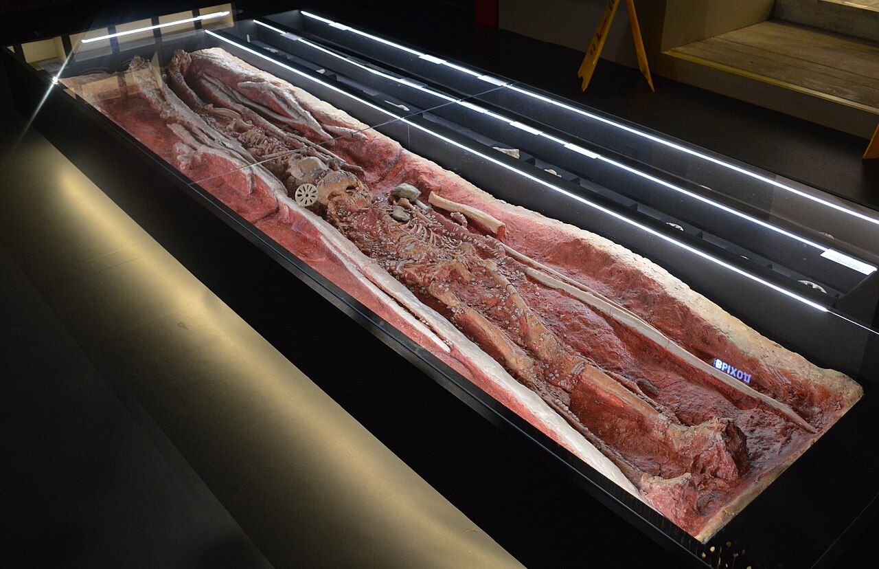 Twin burial model. Sungir 2, 3.The building of the formet provincial administration – Palaty. Vladimir.