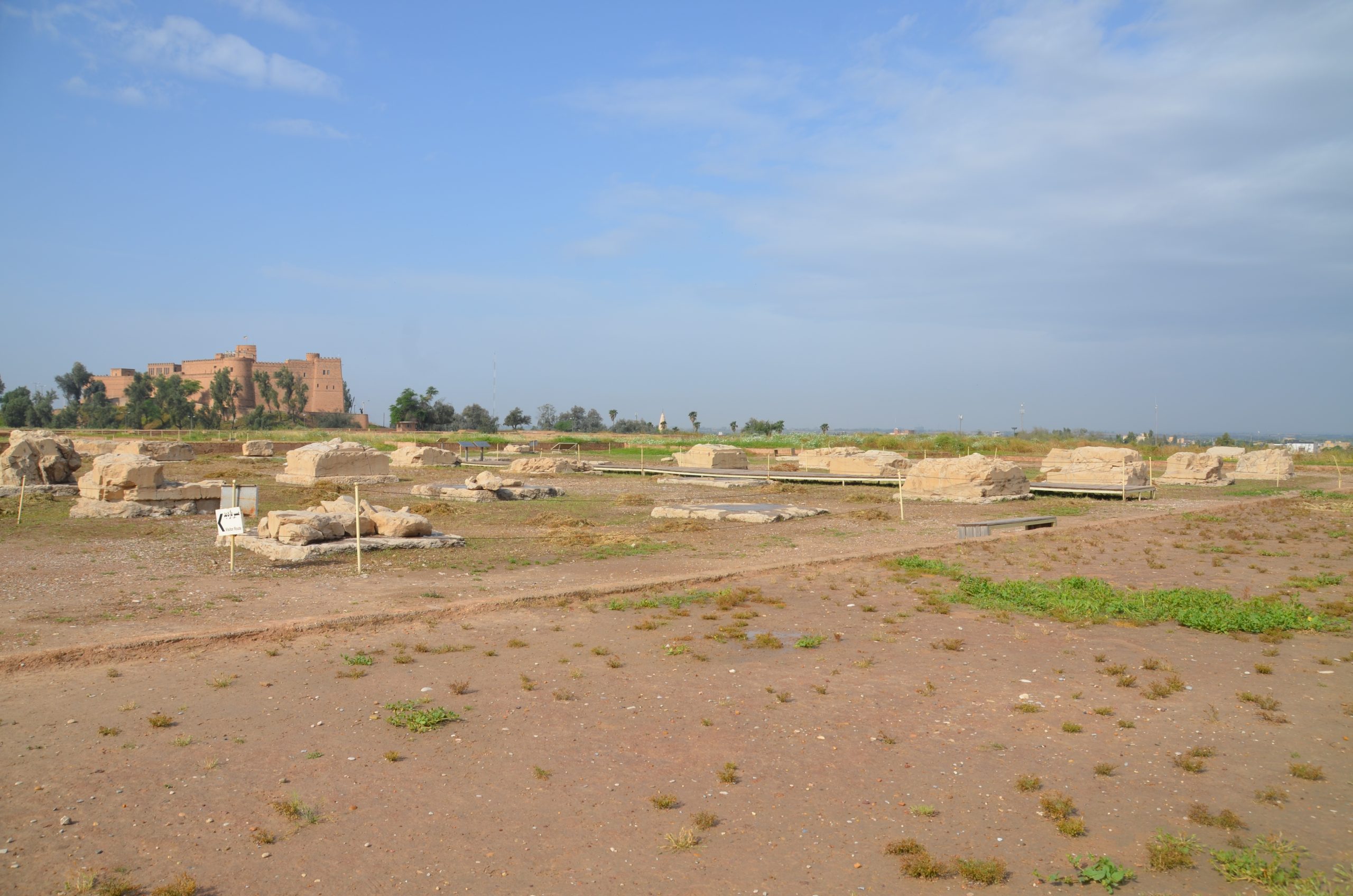 Columns of the great Apadana audience hall at Susa